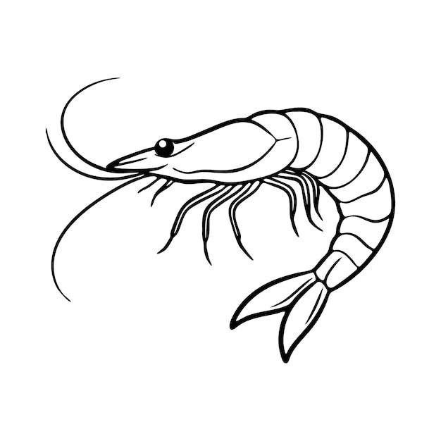 Ilustrador de arte vectorial de siluetas de camarón