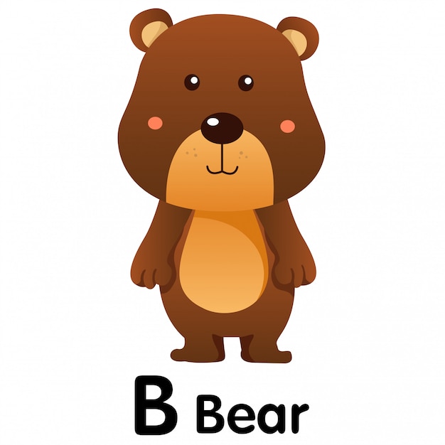 Ilustrador de B Bear Animal.