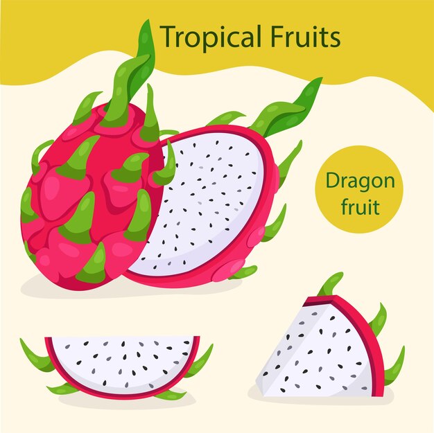 Ilustrador del conjunto de frutas del dragón
