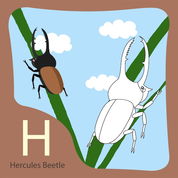 Ilustrador del escarabajo de Hércules aislado y colorante