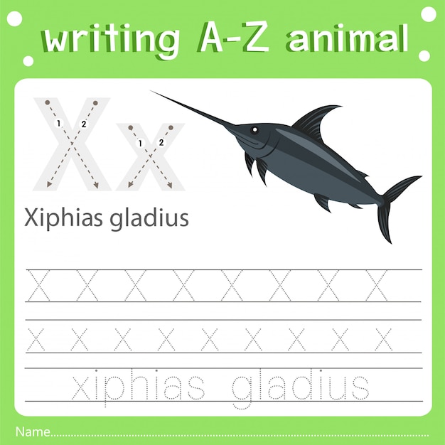 Vector ilustrador de escritura az animal x xiphias gladius