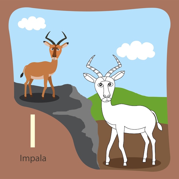 Ilustrador de impala aislado y colorante.