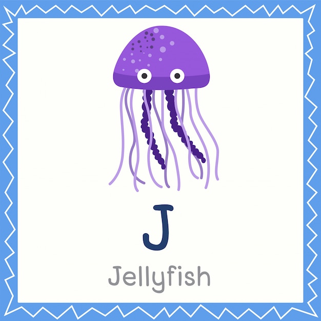 Ilustrador de j para medusas.