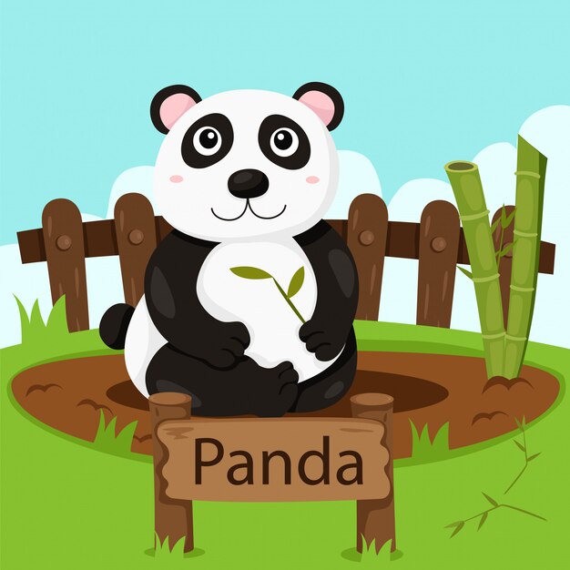 Vector ilustrador de panda en el zoológico.