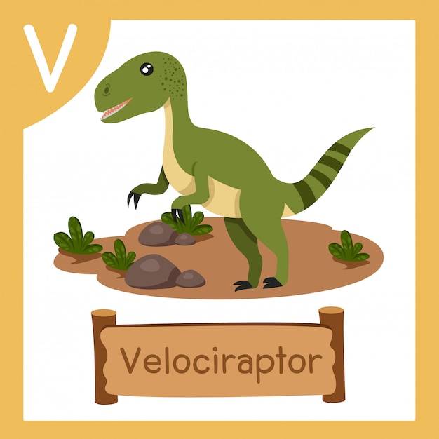 Ilustrador de v para dinosaurio velociraptor