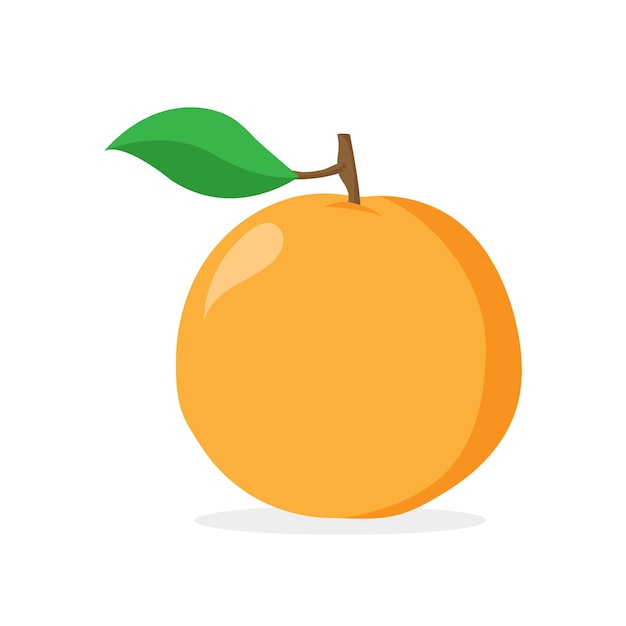 Ilustrador vectorial de frutas naranja aislado en fondo blanco