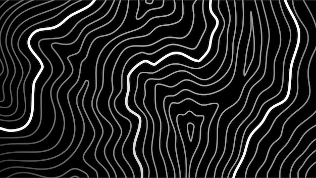 una imagen abstracta en blanco y negro de un patrón abstracto en negro y blanco