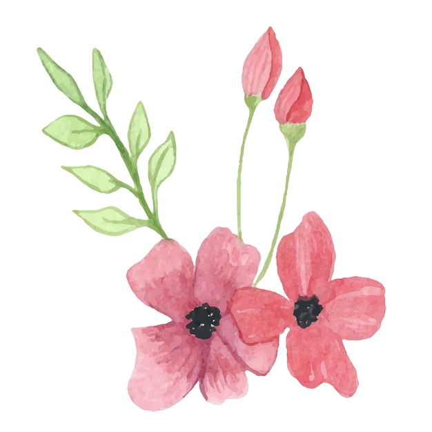 Imagen de acuarela de flor Imagen floral de acuarela para imprimir postal cartel libro decoración