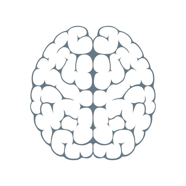 Vector imagen aislada de la silueta del cerebro en vista blanca desde arriba