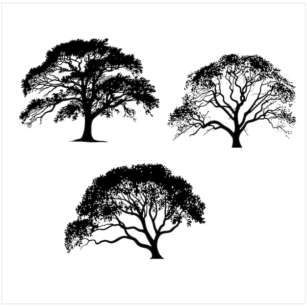 una imagen de un árbol con las palabras cuatro estaciones en él