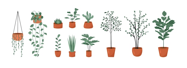 una imagen de un árbol y plantas en maceta