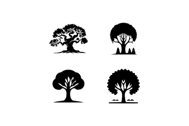 una imagen en blanco y negro de un árbol y un árbol