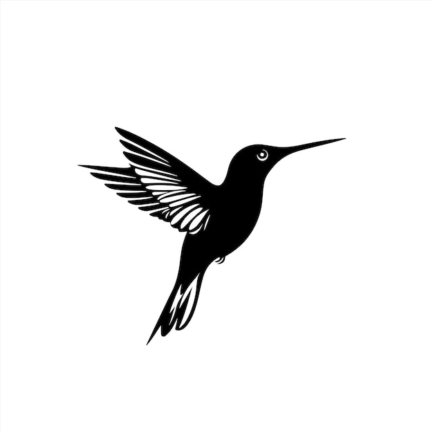 una imagen en blanco y negro de un colibri con un fondo blanco