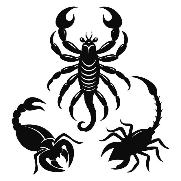 una imagen en blanco y negro de un escorpión y una langosta