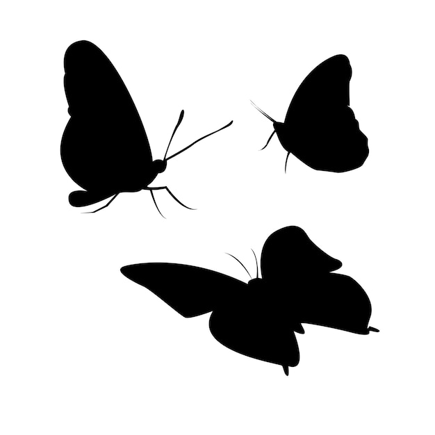 Vector una imagen en blanco y negro de mariposas con la palabra mariposa en la parte inferior.