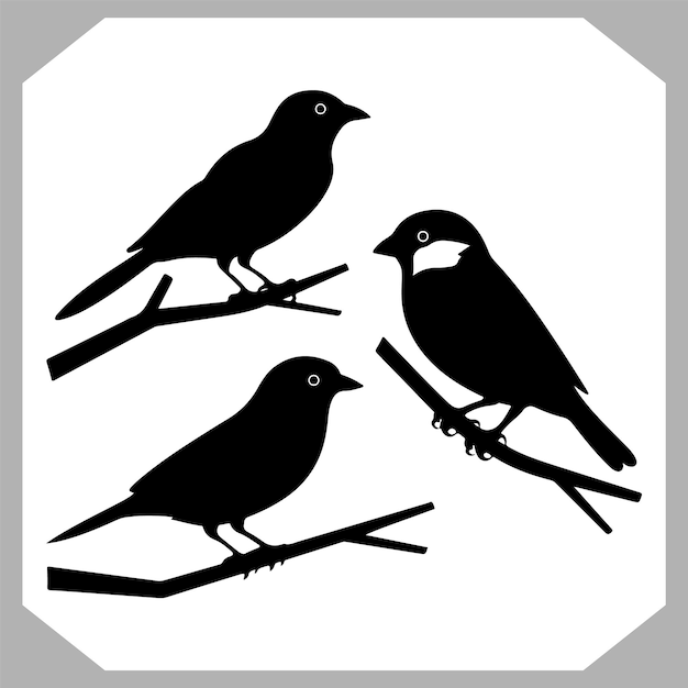 una imagen en blanco y negro de pájaros en un árbol