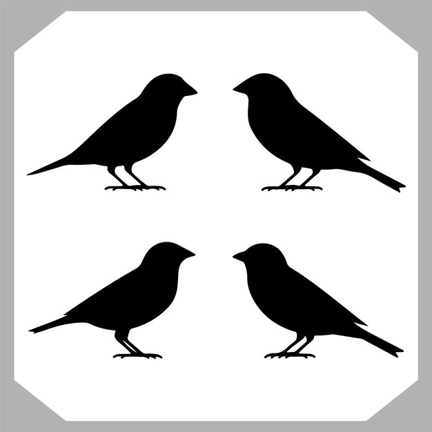 una imagen en blanco y negro de pájaros en un fondo blanco