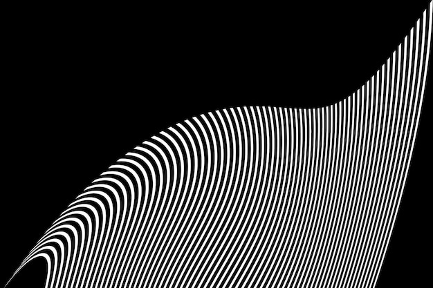 una imagen en blanco y negro de un patrón en negro y blanco