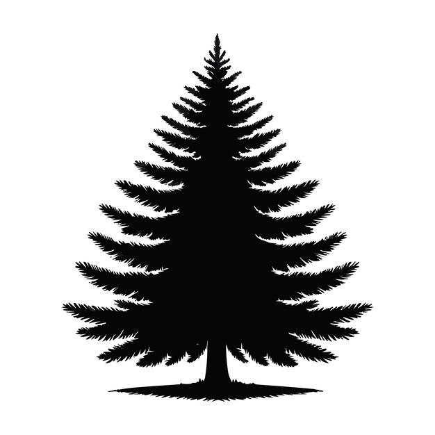 una imagen en blanco y negro de un pino en un fondo blanco