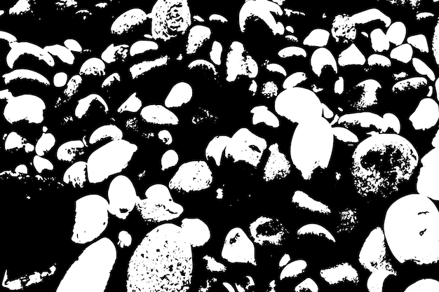 Una imagen en blanco y negro de rocas en una playa.