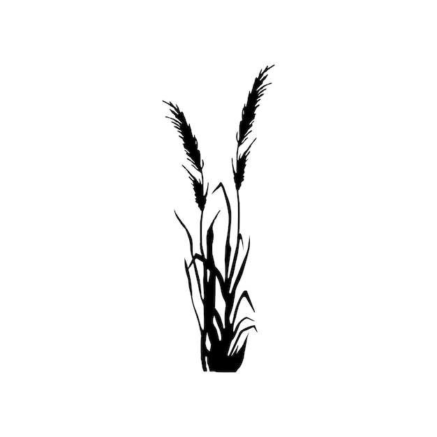 Vector imagen de un césped monocromático o un bulrush sobre un fondo blanco dibujo vectorial aislado