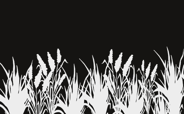 Imagen de un césped monocromático o un bulrush sobre un fondo blanco Dibujo vectorial aislado