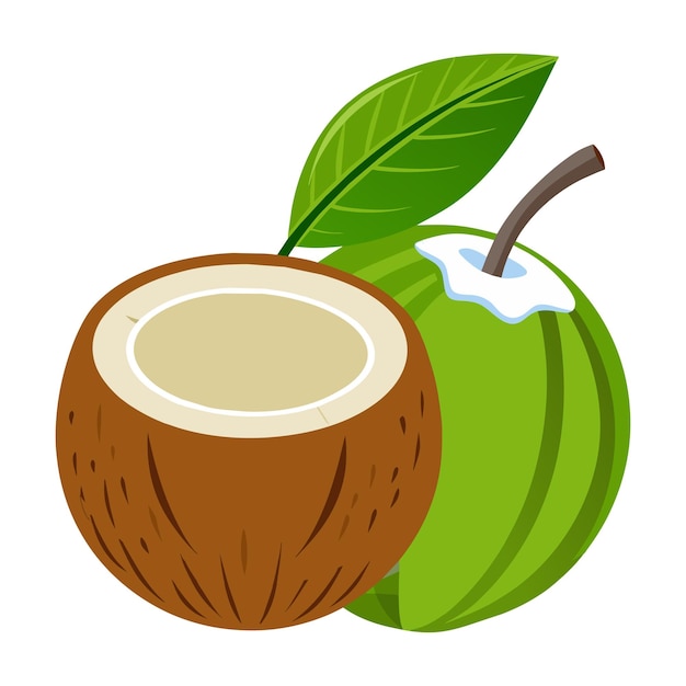 una imagen de un coco y una hoja verde