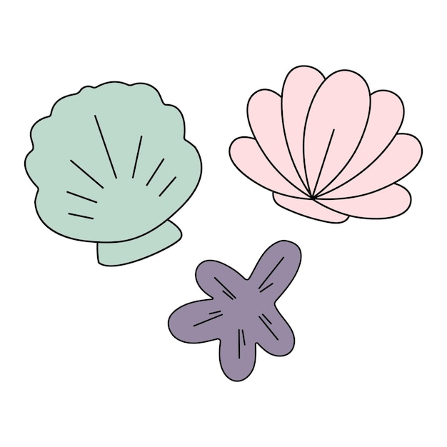 Una imagen de un conjunto de conchas exóticas de diferentes formas y una estrella de mar
