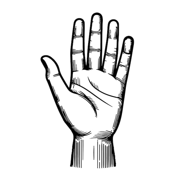 Imagen del contorno de la palma de la mano con fondo blanco