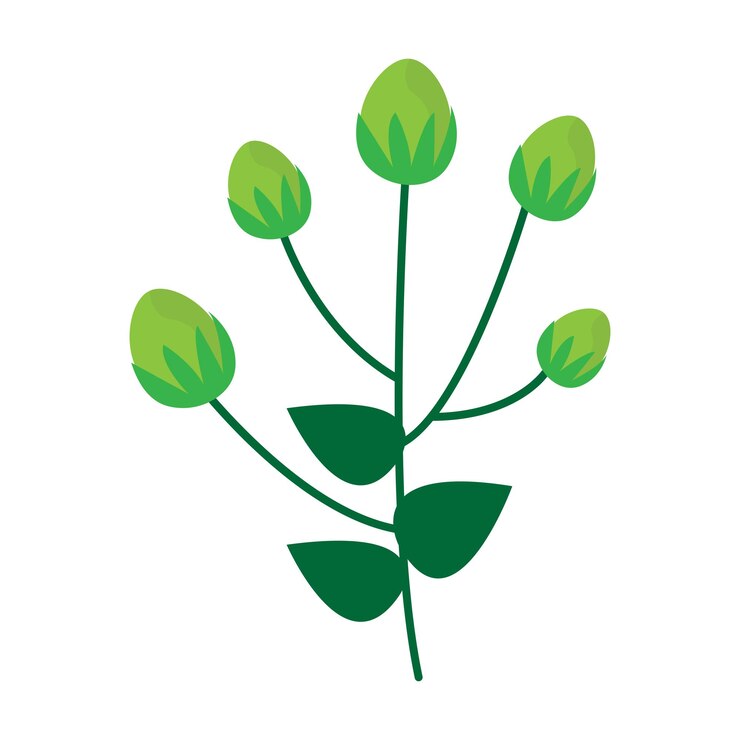 Imagen de dibujos animados de la flor verde de Navidad Foliage Berry Holly Mistletoe vector