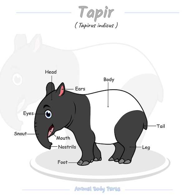 Una imagen de dibujos animados de un tapir con el nombre tapir en él