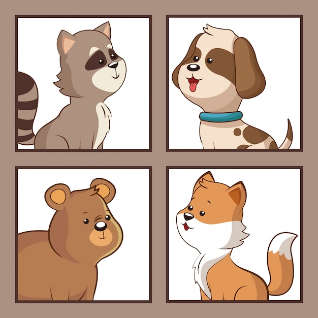 imagen divertida de animales lindos