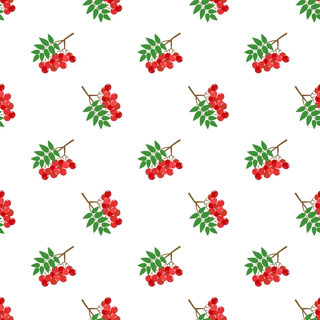 Imagen de fondo transparente colorida fruta tropical baya de serbal rojo