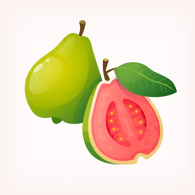 Imagen de fruta fresca de guayaba madura cortada por la mitad Imagen vectorial aislada