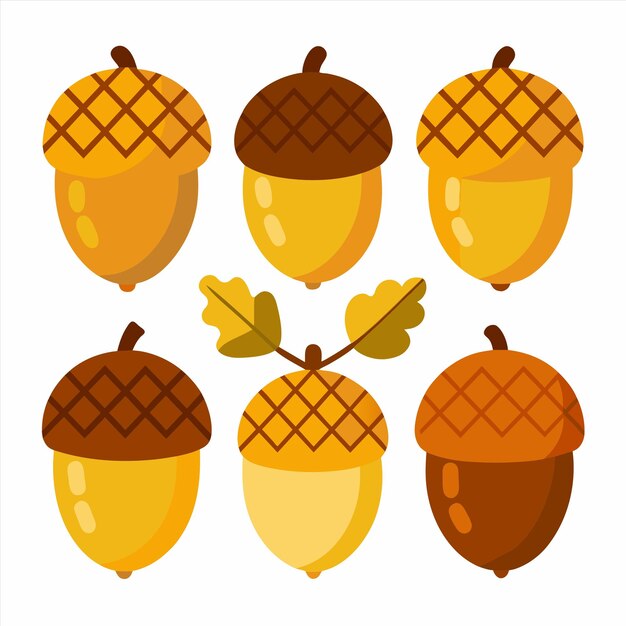 una imagen de una fruta y una imagen de un fruto tropical