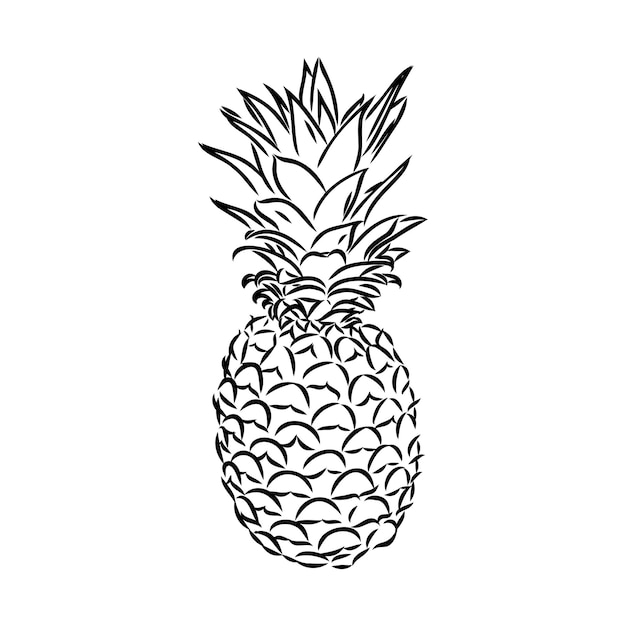Imagen de la fruta de piña Vector ilustración en blanco y negro