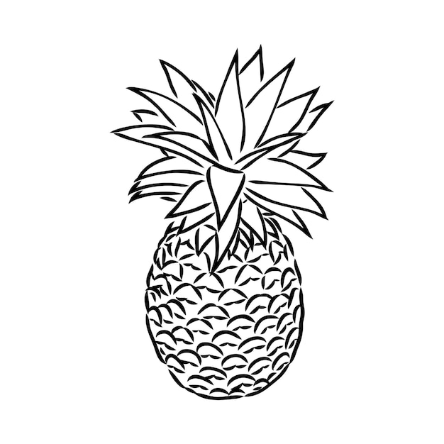 Vector imagen de la fruta de piña vector ilustración en blanco y negro