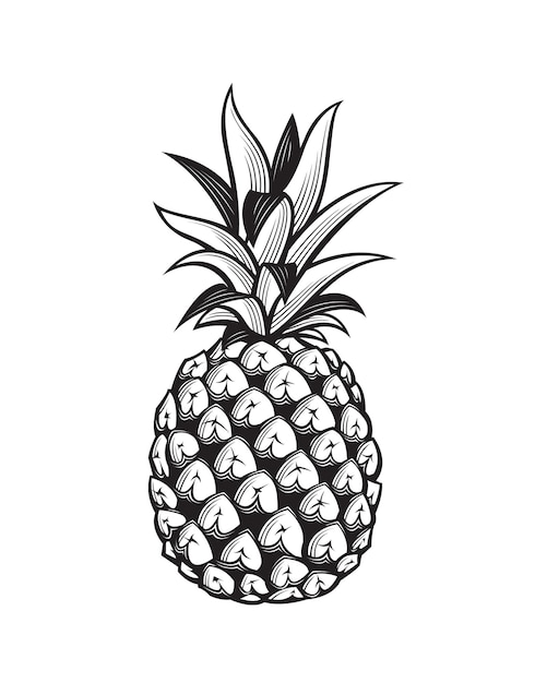 Vector imagen de fruta de piña