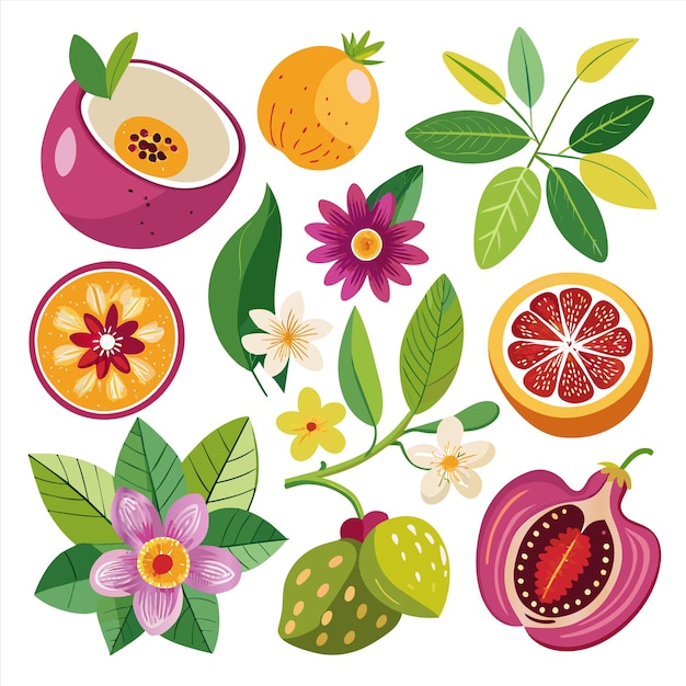 una imagen de frutas y flores con las palabras frutas en ella