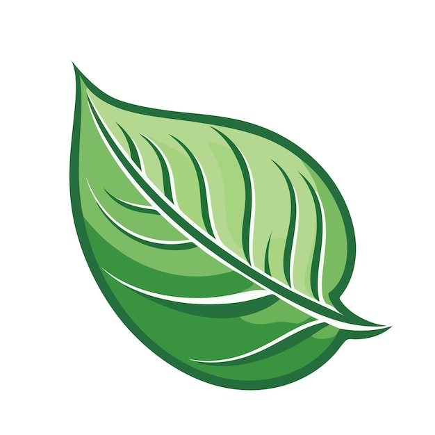 Imagen de la hoja Diseño del logotipo de la hoja Concepto de ecología Ilustración vectorial