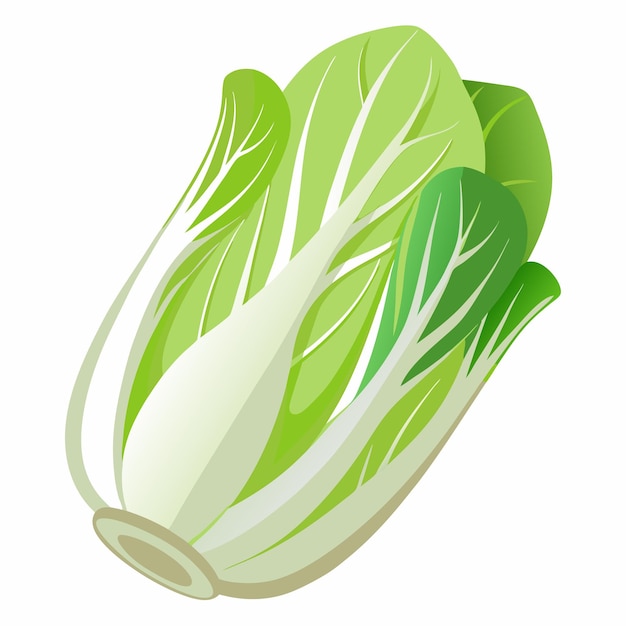una imagen de una hoja verde de lechuga con la palabra verduras en ella