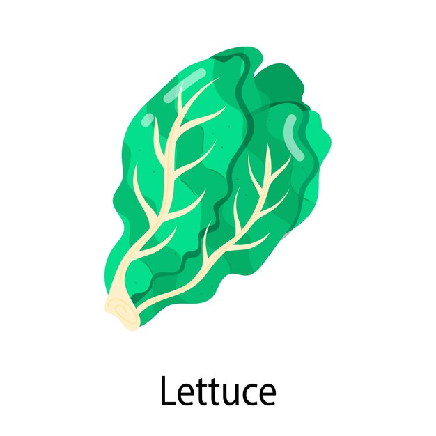 una imagen de una hoja verde que dice lechuga