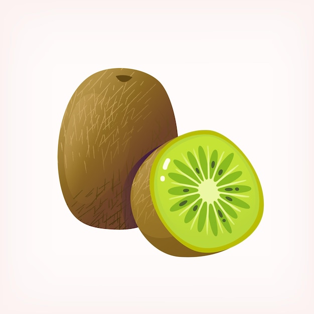 Imagen de kiwi maduro fresco cortado por la mitad Imagen vectorial aislada