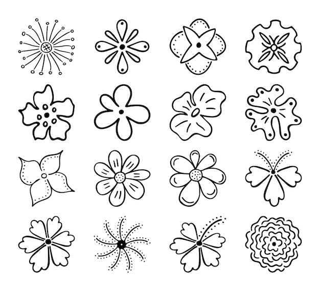 Imagen lineal incompleta de siluetas de flores Dibujo dibujado a mano de brotes de plantas durante la floración