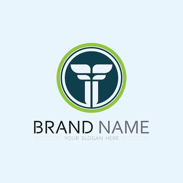 Imagen del logotipo de la letra T y fuente Vector gráfico de diseño T