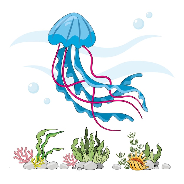 Imagen de medusa medusa azul aislada en un fondo blanco en el fondo marino