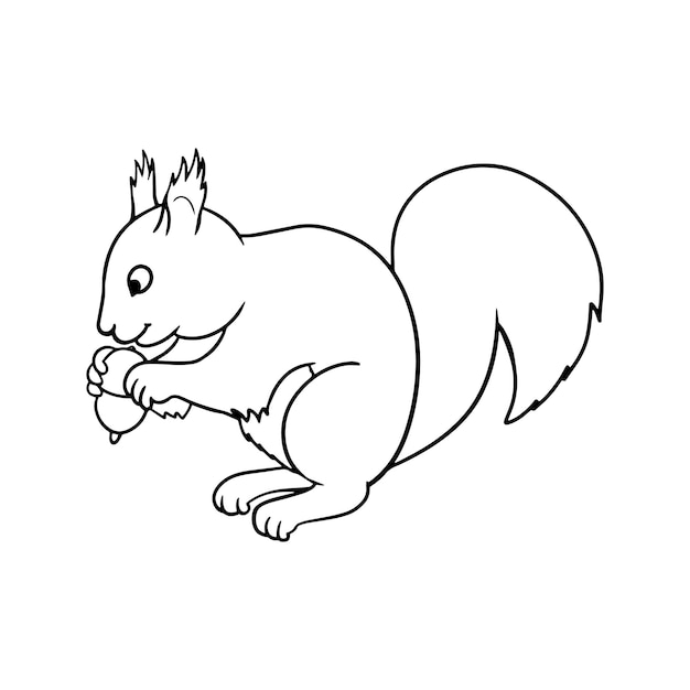 Imagen monocromática de ardilla esponjosa sentada y mordiendo una caricatura de vector de nuez