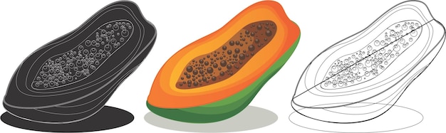 Vector una imagen de una papaya con la palabra papaya en la parte inferior.