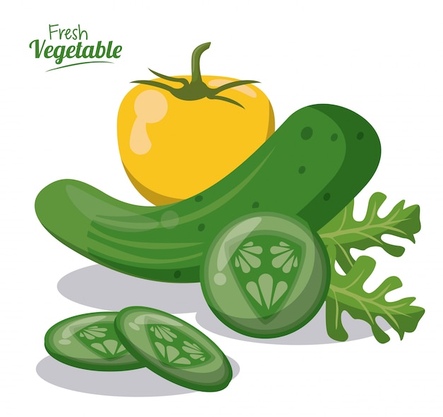 Vector imagen de pimiento de lechuga de pepino verduras frescas