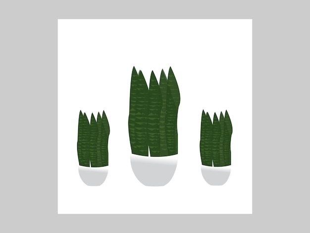 Vector una imagen de una planta de cactus con un fondo blanco